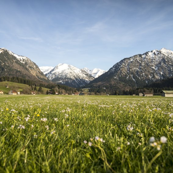 Blumenvielfalt im Ösch