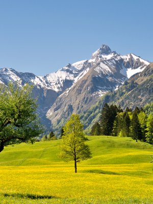 Das Trettachtal im Frühling