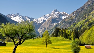 Das Trettachtal im Frühling