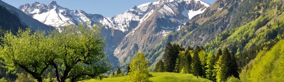 Das Trettachtal im Frühling