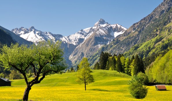 Das Trettachtal im Frühling