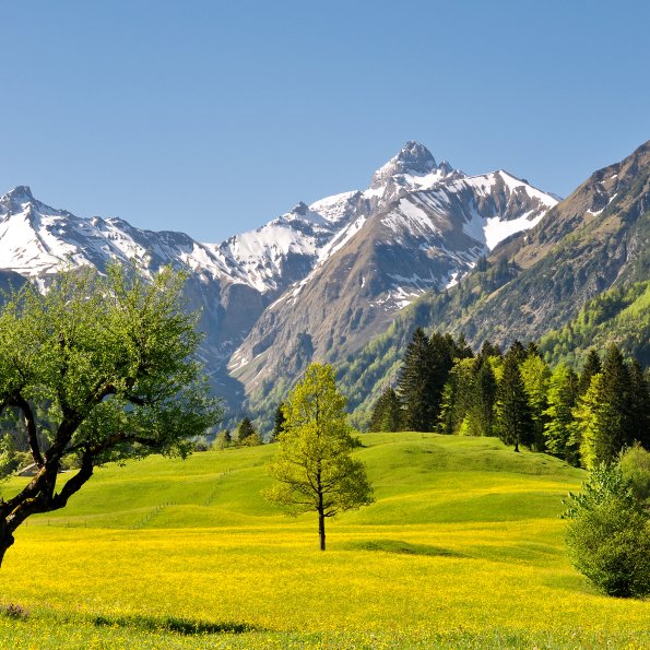 Das Trettachtal im Frühling