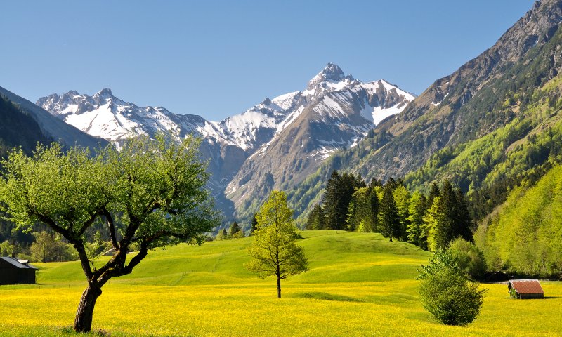 Das Trettachtal im Frühling