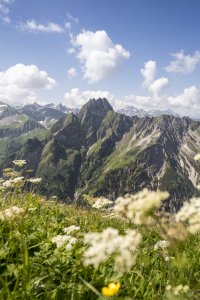 Blick während der Bergtour Laufbacher Eck
