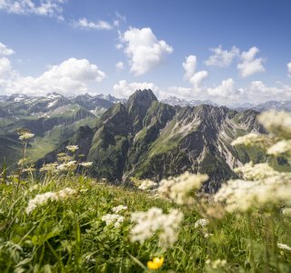 Blick während der Bergtour Laufbacher Eck