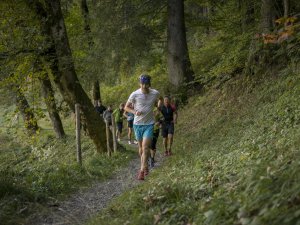 Trailrunning-Workshop