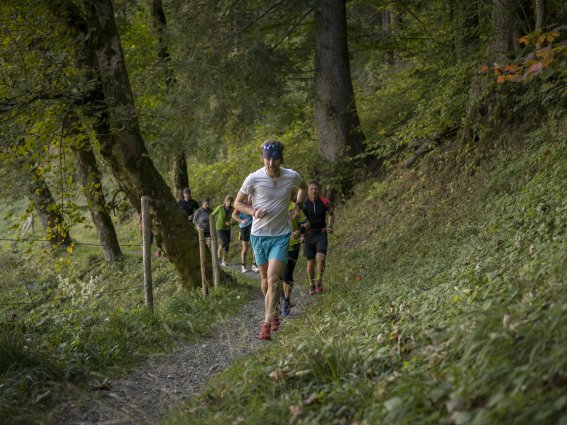Trailrunning-Workshop
