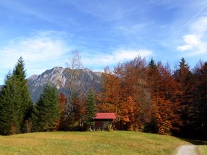 Herbst am Söllereck