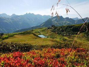 herbstlicher Schlappoldsee