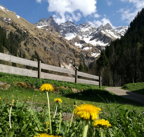 Einödsbach im Frühling