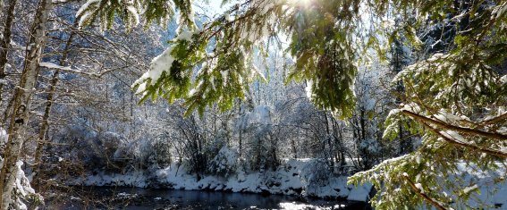 Trettach im Winter