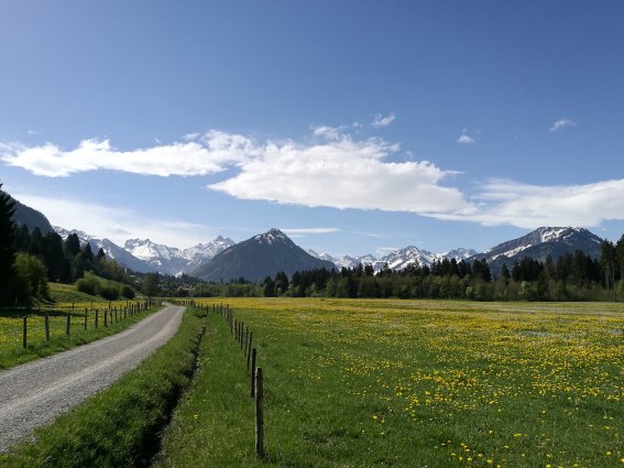 Spazierweg in der Rubinger Oy