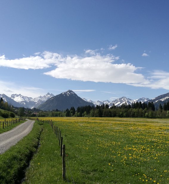 Spazierweg in der Rubinger Oy
