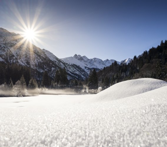 Winterlandschaft