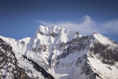 Der winterliche Schneck