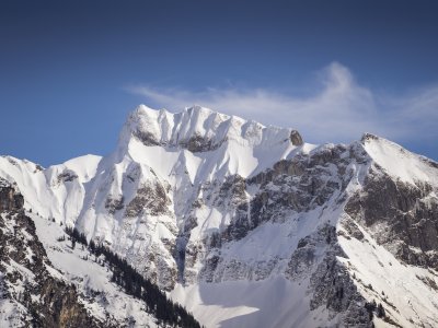 Der winterliche Schneck