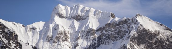 Der winterliche Schneck