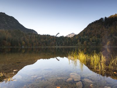 der Freibergsee im Herbst