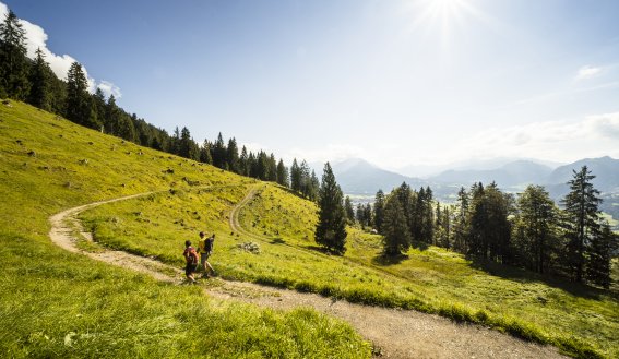 Wanderer auf dem Wallrafweg