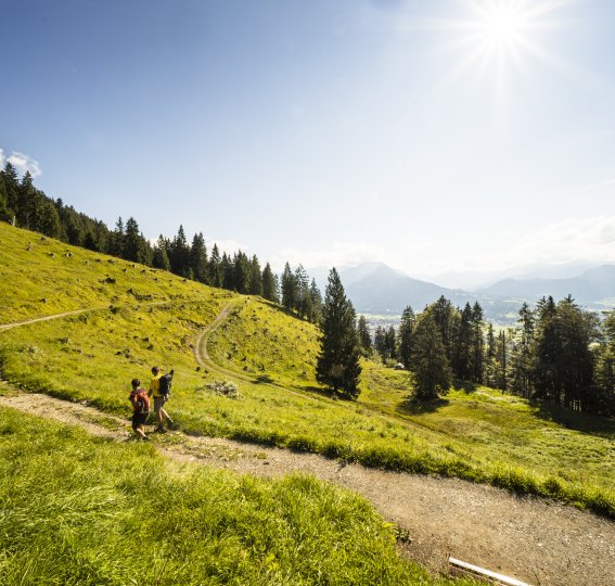 Wanderer auf dem Wallrafweg