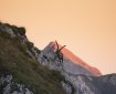 Steinbock im Abendrot