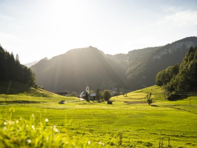 Tiefenbach im Sommer