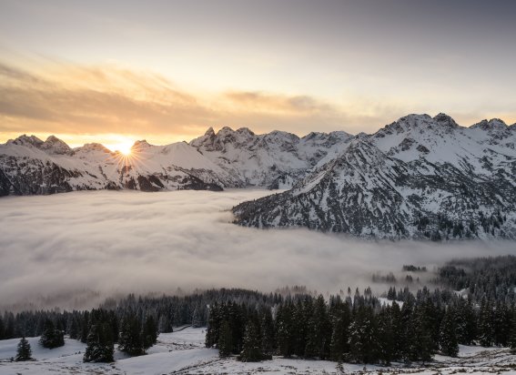Ein Wintertraum