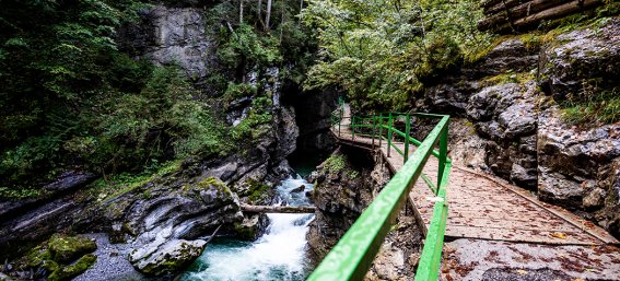 In der Breitachklamm findest du kühle, schattige Pfade entlang lebendiger Wasserfälle, umgeben von leuchtendem Grün. Ein perfekter Ort für Familienausflüge oder einfach, um in der spektakulären Natur der Allgäuer Alpen zu entspannen.