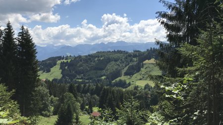 Blick ins Gunzesrieder Tal - ein ruhiges Tal kurz vor Oberstdorf lässt Sie den Alltag vergessen und ist ein Vorgeschmack auf Ihren Bergurlaub.