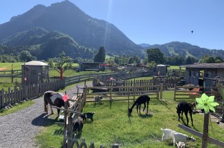 Tierparadies in Burgberg