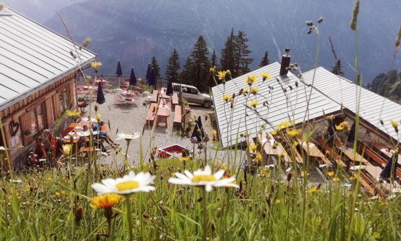 IMG 20210611 112323 393