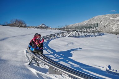 Allgäu Coaster Söllereck im Winter Erlebe den Nervenkitzel auf dem Allgäu Coaster in Söllereck, der spektakulären Ganzjahres-Rodelbahn in Oberstdorf. Mit einzigartigen Abfahrten, die durch die Landschaft der Allgäuer Alpen führen, bietet der Coaster Spaß und Aufregung für alle Altersgruppen. Ideal für Familien und Abenteuersuchende.
