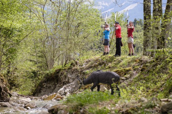 Bogenschützen im Waldparcours bei Bolsterlang mit Wildschwein-Ziel Bogenschützen stehen in einem Waldparcours neben einem dreidimensionalen Wildschwein-Ziel.