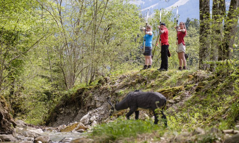 Bogenschützen stehen in einem Waldparcours neben einem dreidimensionalen Wildschwein-Ziel.