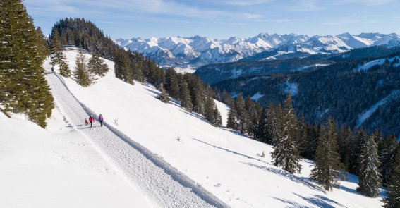 1137029 Winterwandern in den Allgäuer Hörnerdörfern