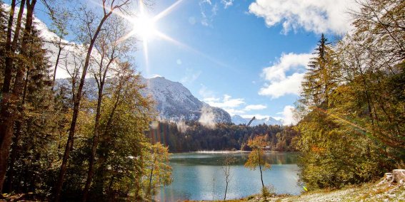Freibergsee im Herbst