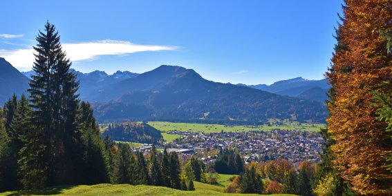 Blick auf den Oberstdofer Süden mit Fellhorn