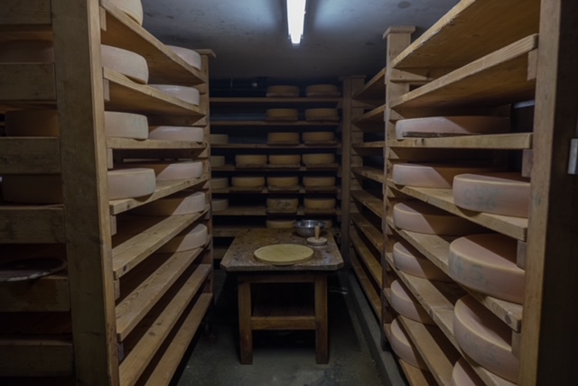 Der eigens hergestellte Käse beim Reifeprozess in der Alpe Eschbach in Birgsau.