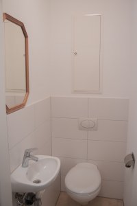 IMG 8811
