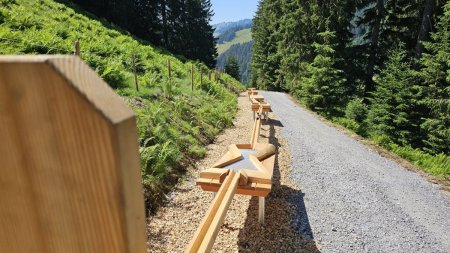 Familienspaß am Wanderweg: Spielerische Mitmachstationen motivieren Klein und Groß!