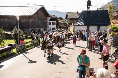 Viehscheid mit Zuschauern im Ortszentrum von Bolsterlang. Zahlreiche Gäste verfolgen den traditionellen Viehscheid im Ortszentrum von Bolsterlang. Das Ereignis bringt Brauchtum, Tiere und Dorfgemeinschaft zusammen.