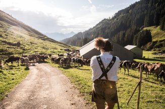 Ein Teilnehmer wartet oberhalb der Alpe auf den gemeinsamen Abmarsch zum Viehscheid. Bergweg, Alpwirtschaft und Tiere prägen die traditionelle Szenerie.