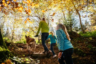 Erwachsene, Kinder und Hund erkunden gemeinsam einen herbstlichen Waldweg. Das Motiv steht für unkomplizierte Wandererlebnisse mit der ganzen Familie.