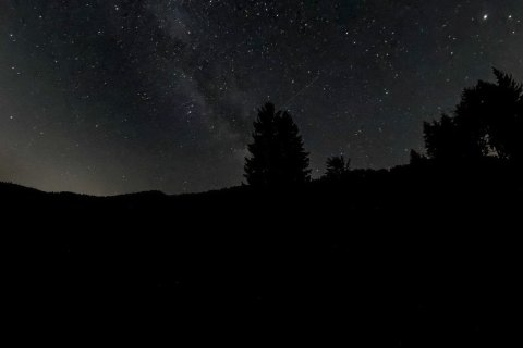 Ein weiter Sternenhimmel spannt sich über die dunklen Silhouetten der Allgäuer Berge und einzelner Tannen. Die niedrige Horizontlinie lenkt den Blick auf die feinen Strukturen der Milchstraße über dem Riedbergpass.