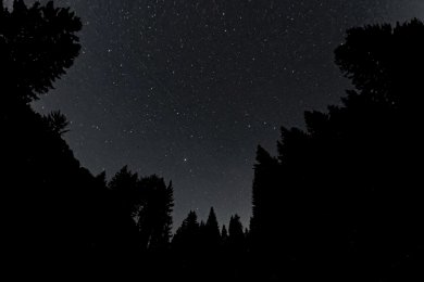 Eine Öffnung zwischen hohen Tannen gibt den Blick auf den klaren, sternenreichen Nachthimmel frei. Die umliegenden Baumkronen wirken wie ein natürlicher Rahmen und vermitteln das Gefühl einer stillen Nacht im Bergwald.