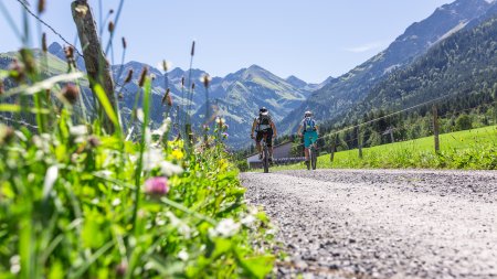 Mit dem Fahrrad die Allgäuer Umgebung erkunden