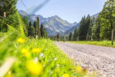 Im Sommerurlaub in Oberstdorf eine Biketour starten