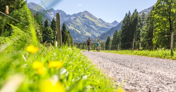 Im Sommerurlaub in Oberstdorf eine Biketour starten