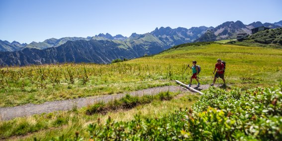 Das Alpenpanorama auf dem Fellhorn ist einfach herrlich! Das Fellhorn bietet viele Wanderrouten für den Sommerurlaub.