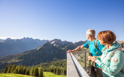 Im Sommer eignet sich das Fellhorngebiet hervorragend zum Wandern.